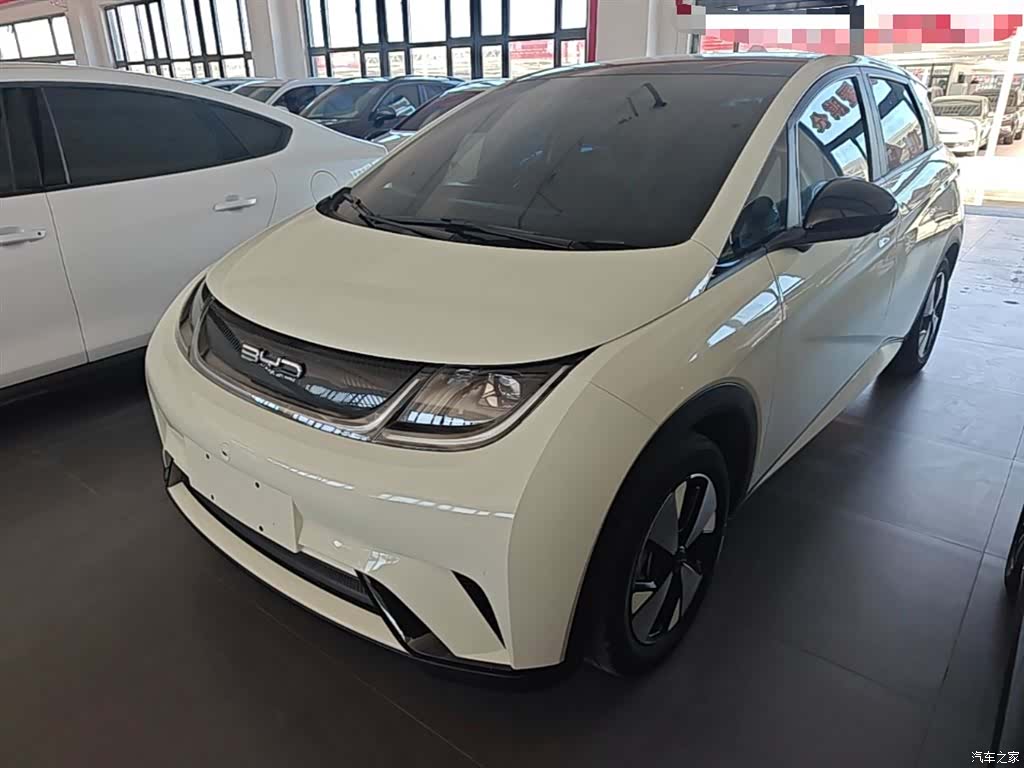 BYD Dolphin, 2023 2