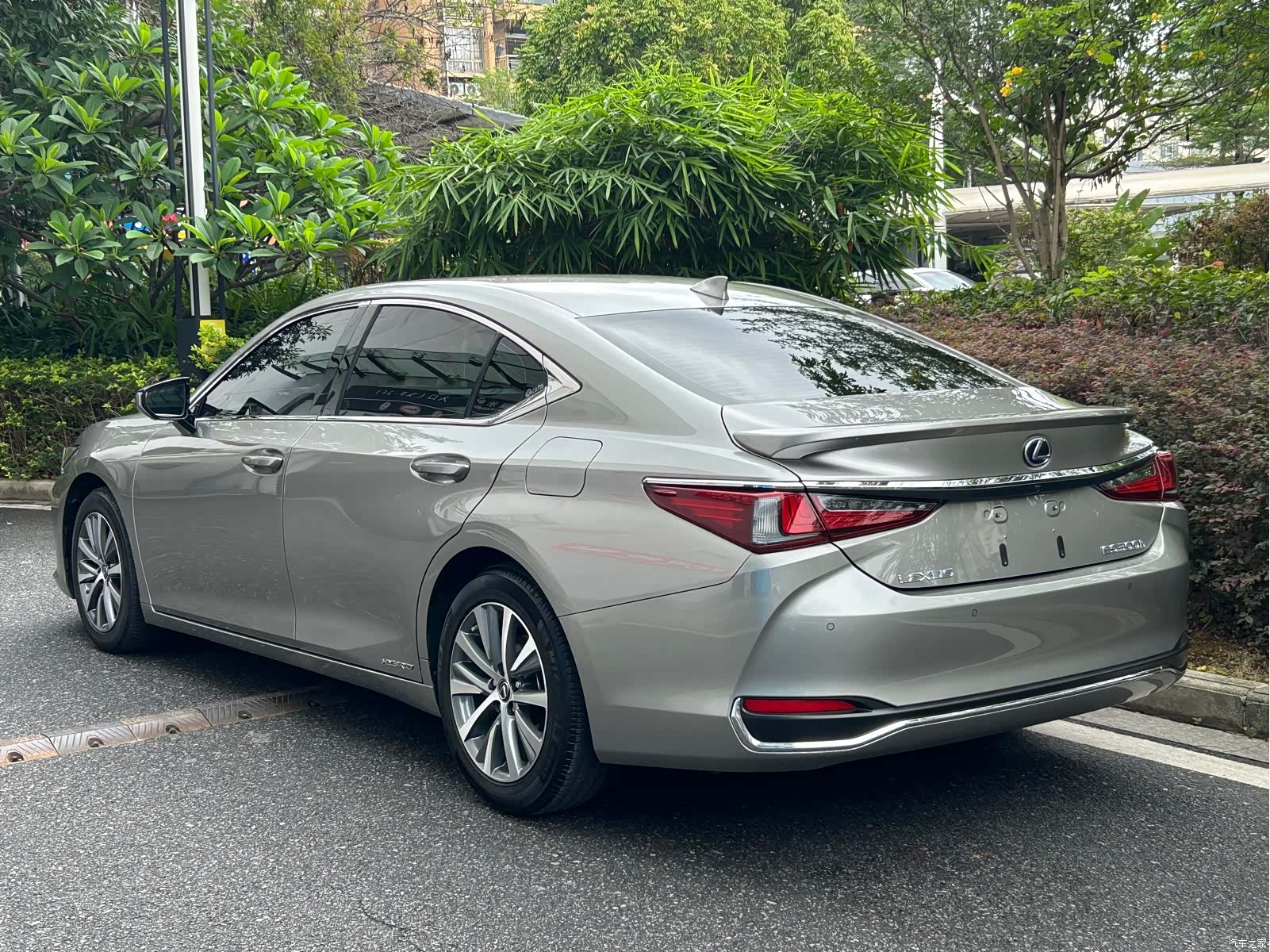 Lexus ES, 2019 все фото