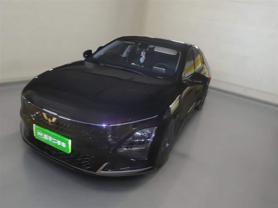 Wuling Wuling Starlight