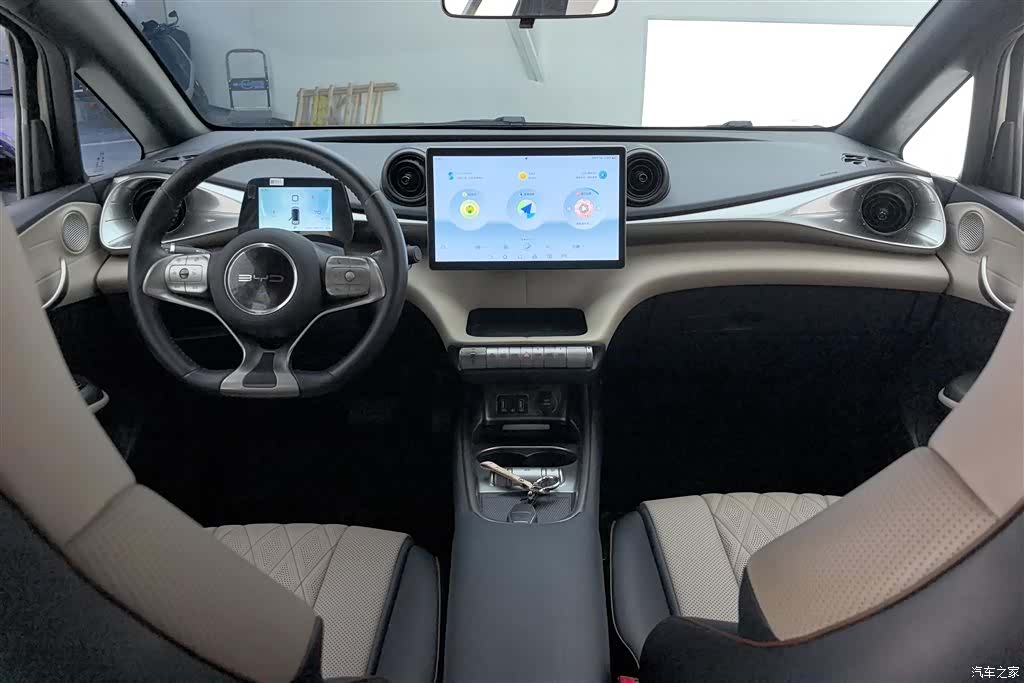 BYD Dolphin, 2023 12