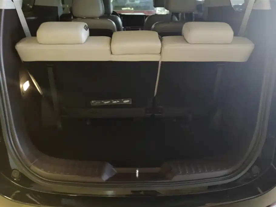 Trumpchi Trumpchi M8