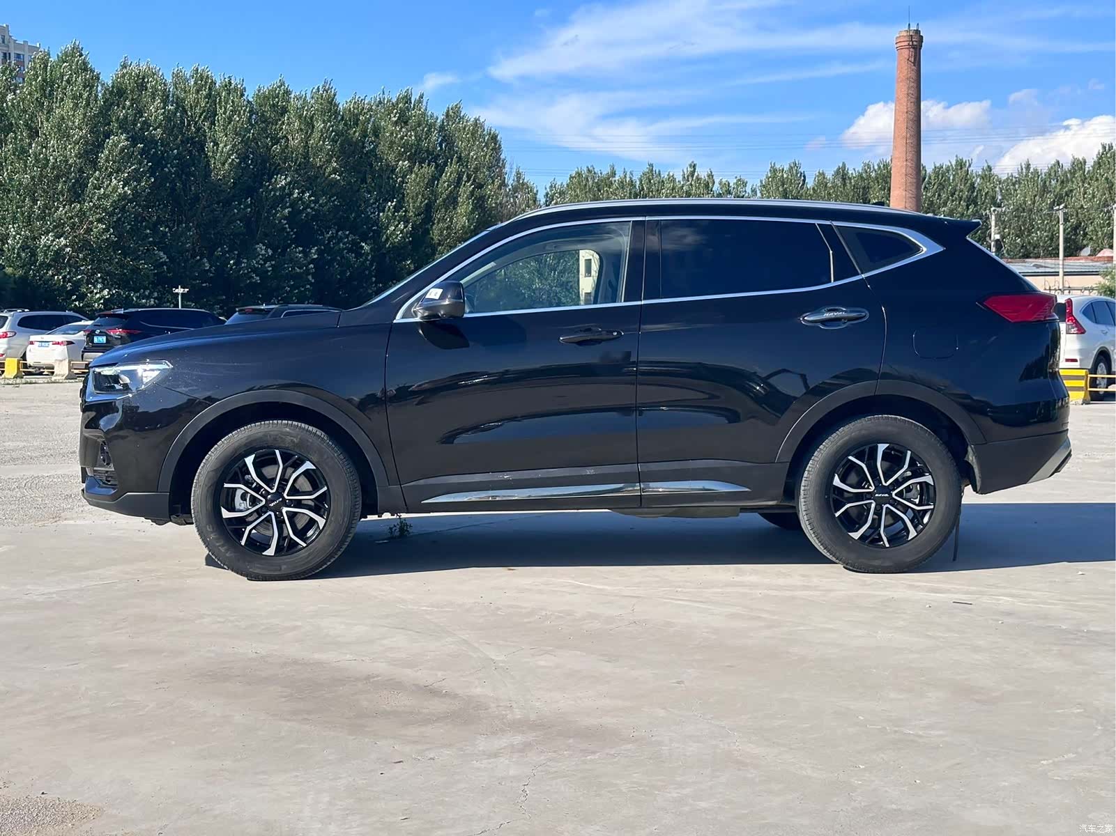 Haval H6, 2023 все фото