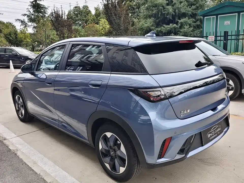 BYD dolphin