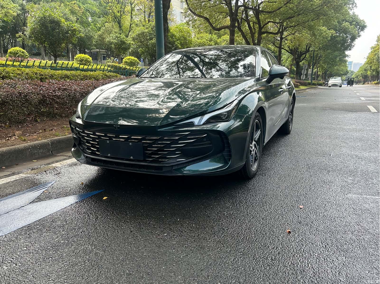 MG MG7