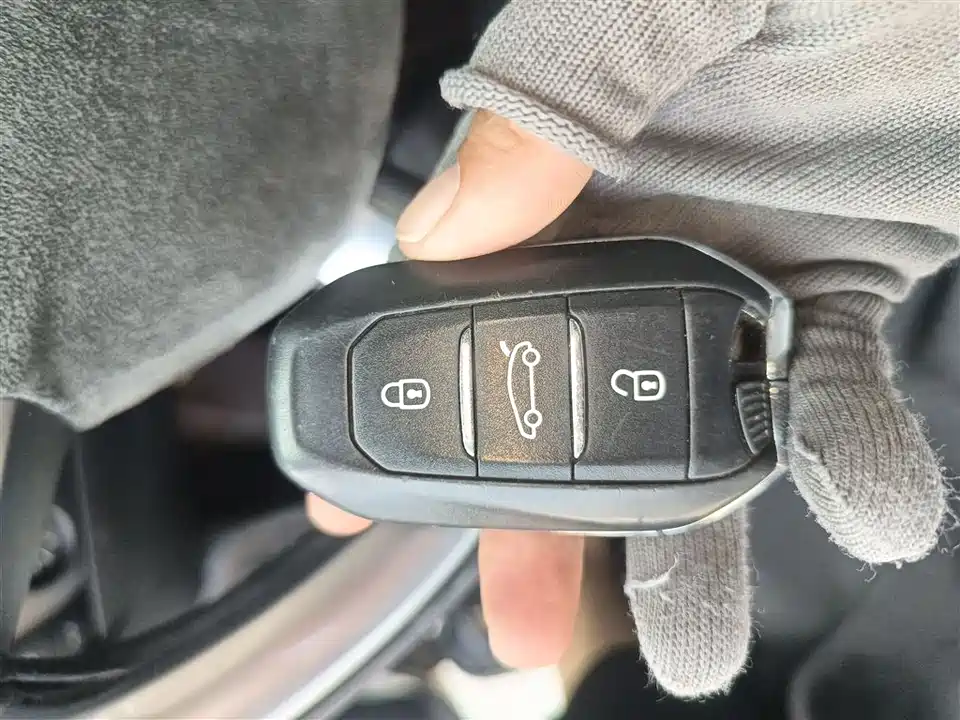 DS 5