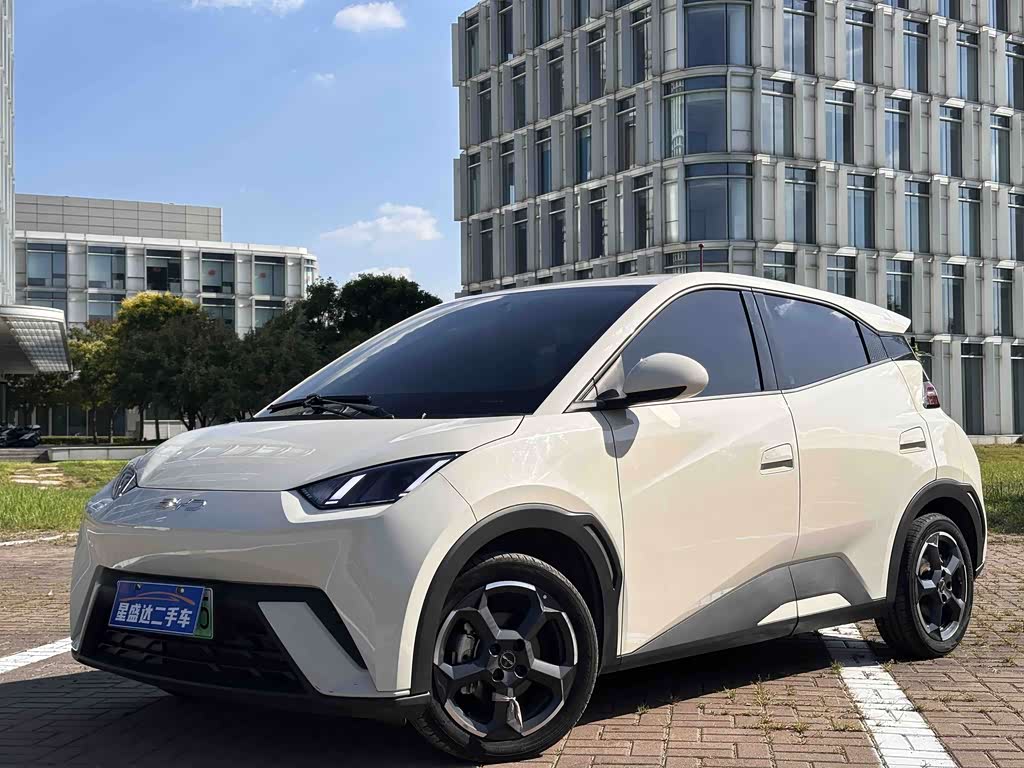 BYD Seagull