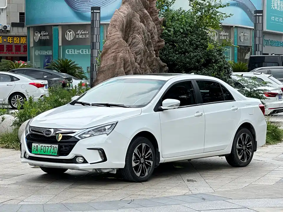 BYD Qinxin Energy
