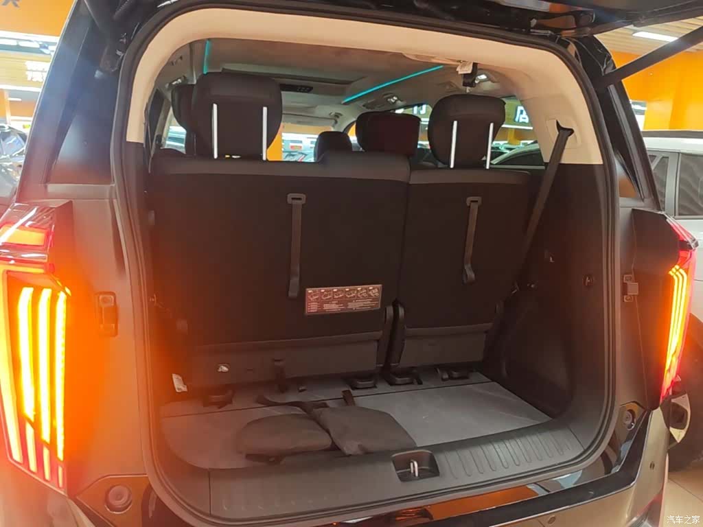 Trumpchi E9, 2024 19