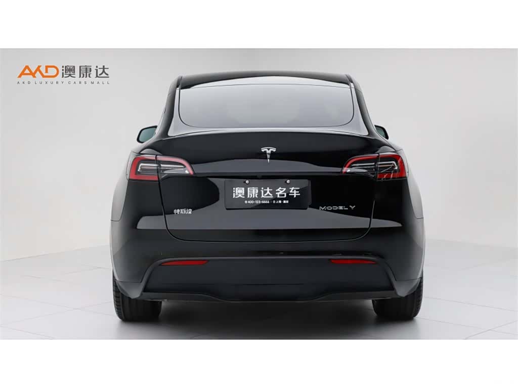 Tesla Model Y, 2023 4