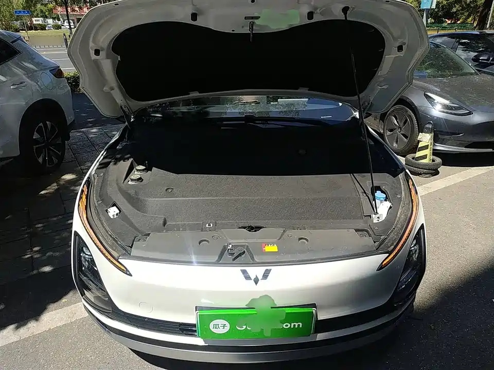 Wuling Wuling Starlight