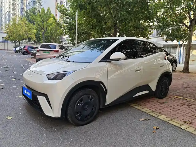 BYD Seagull 2024 — купить из Китая под заказ