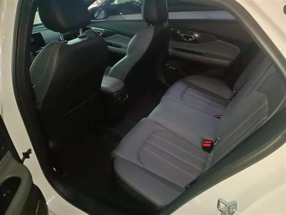 Trumpchi Shadow Leopard