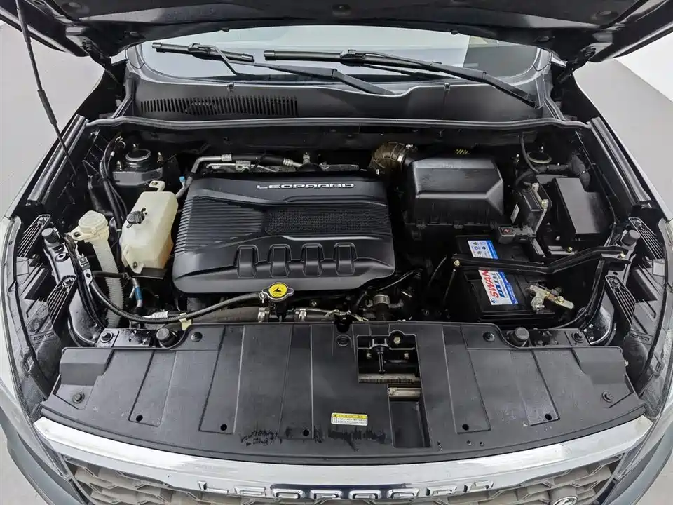 Leopaard Cheetah CS10