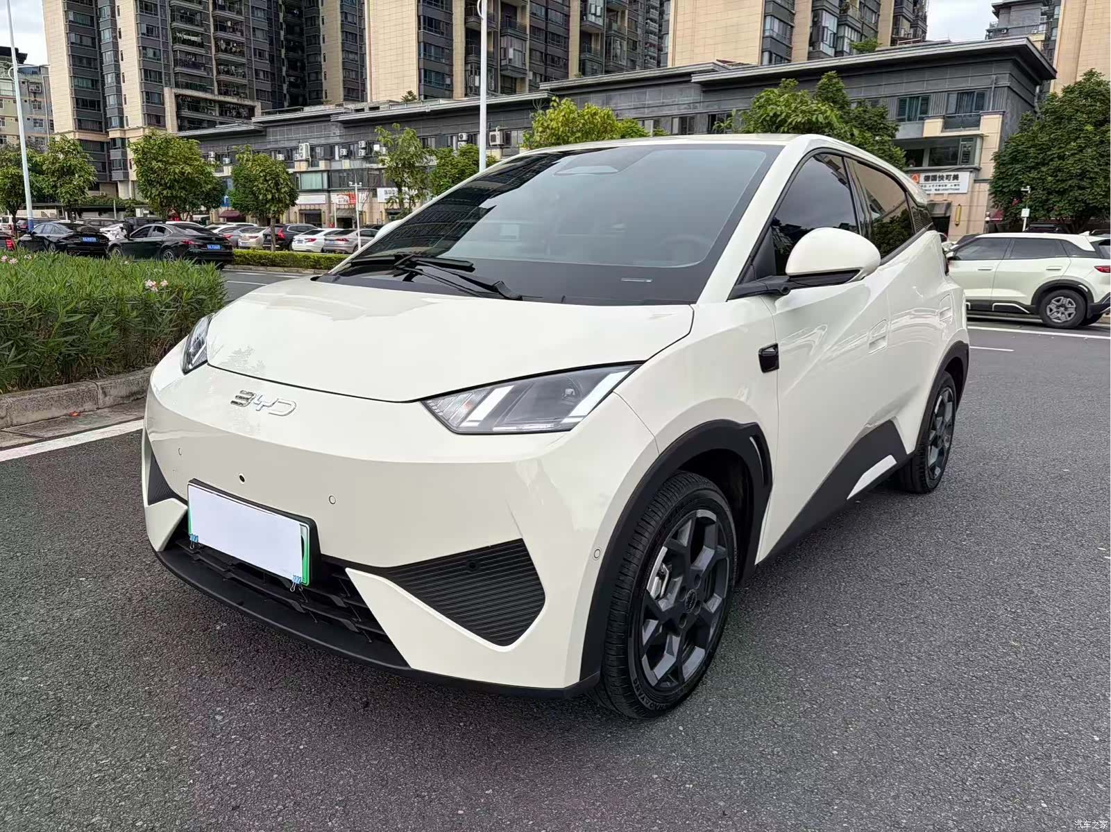 BYD Seagull, 2025 1