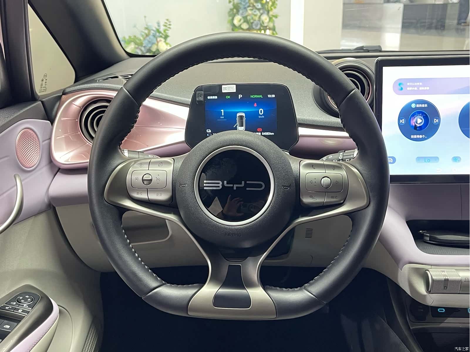 BYD Dolphin, 2024 10