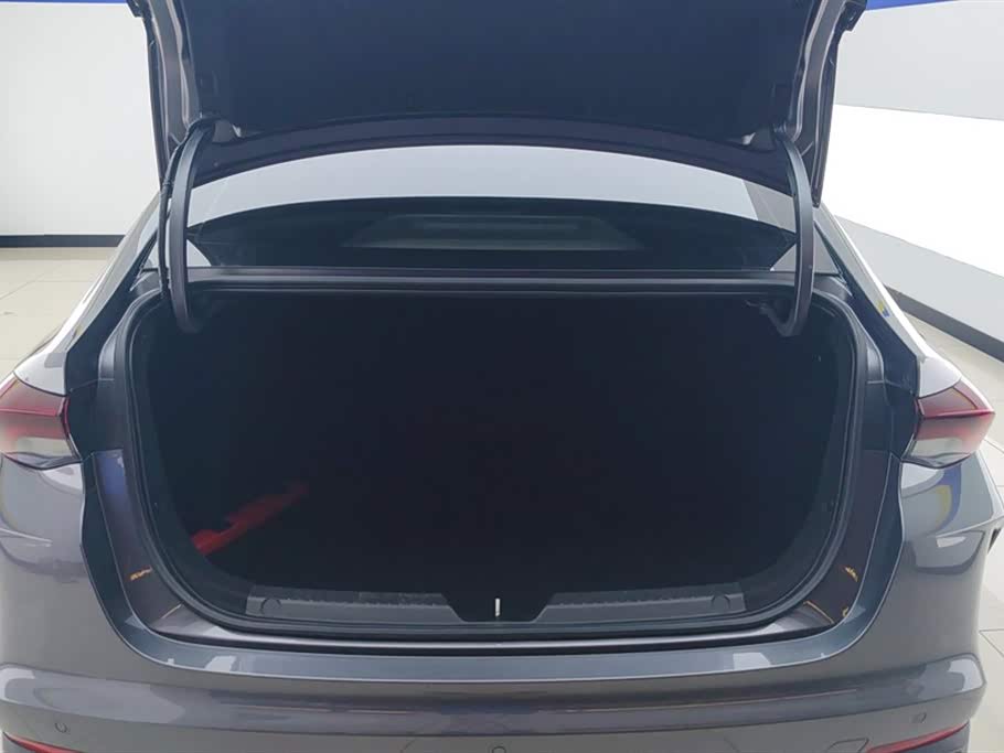 Trumpchi Shadow Leopard