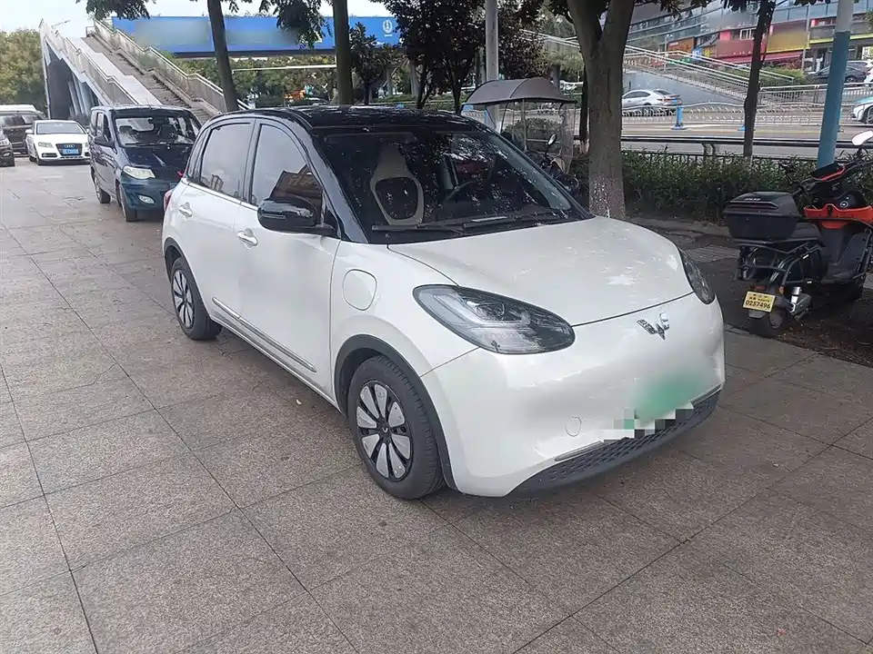 Wuling Wuling Bingguo