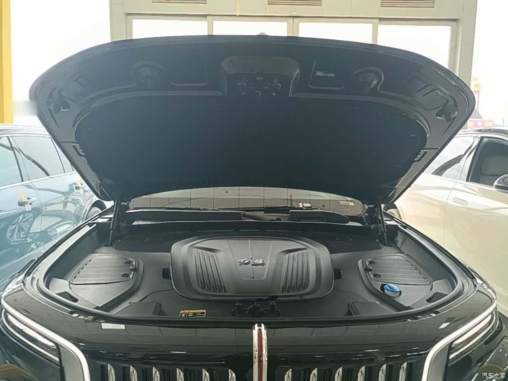 Hongqi E-HS9, 2023 20