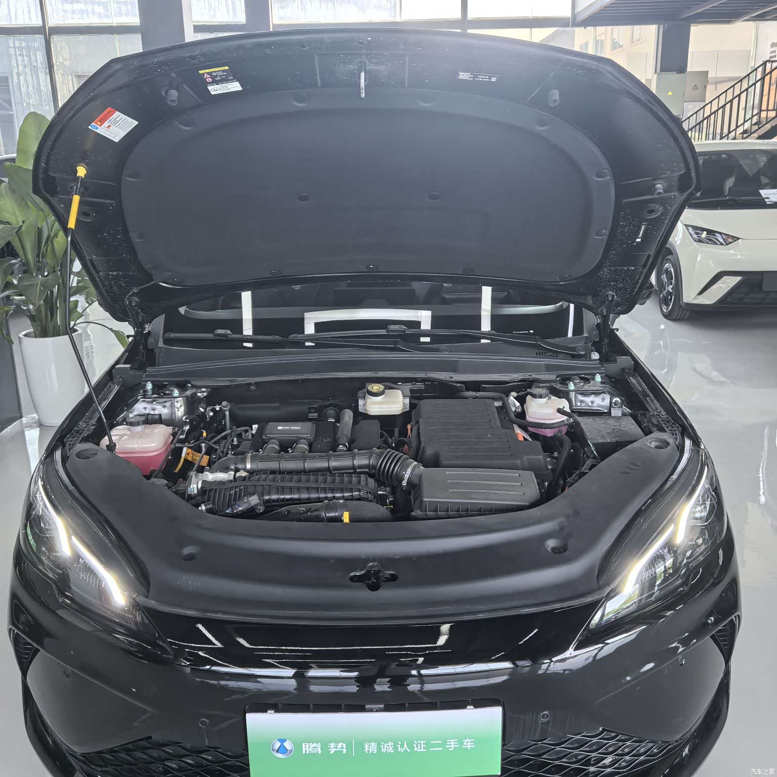 BYD Seal, 2025 6