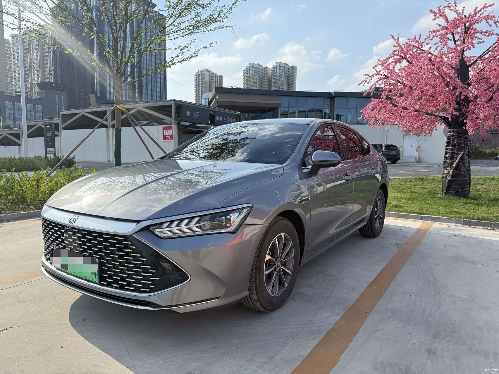 BYD Qin, 2024 1