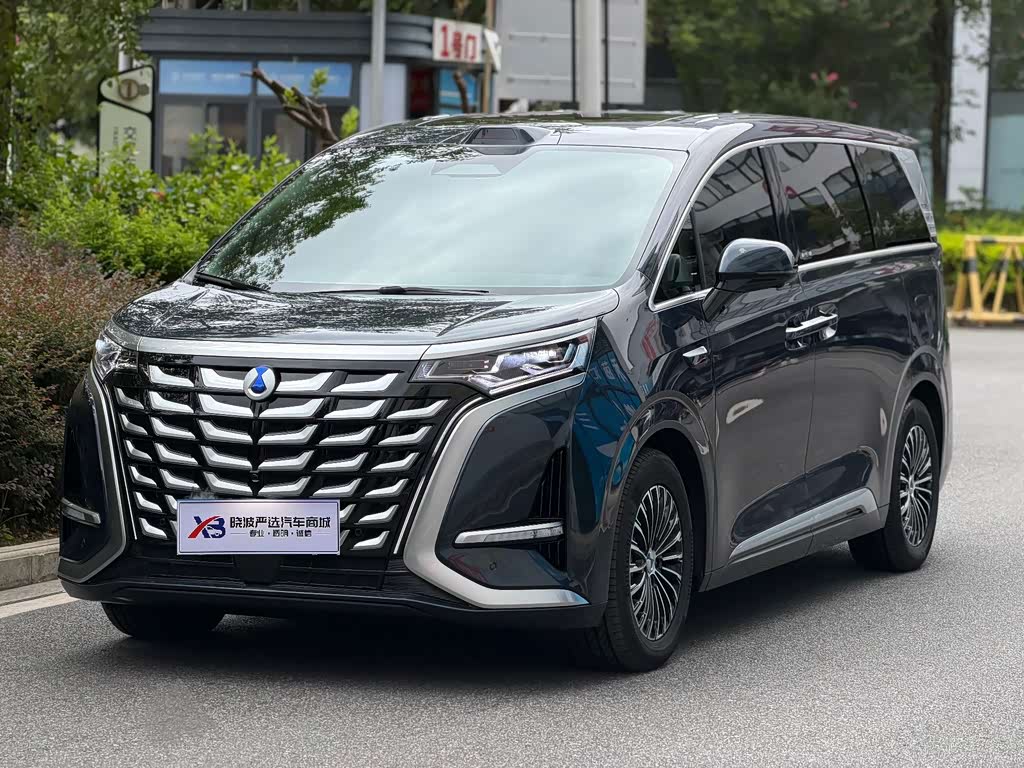 Denza D9