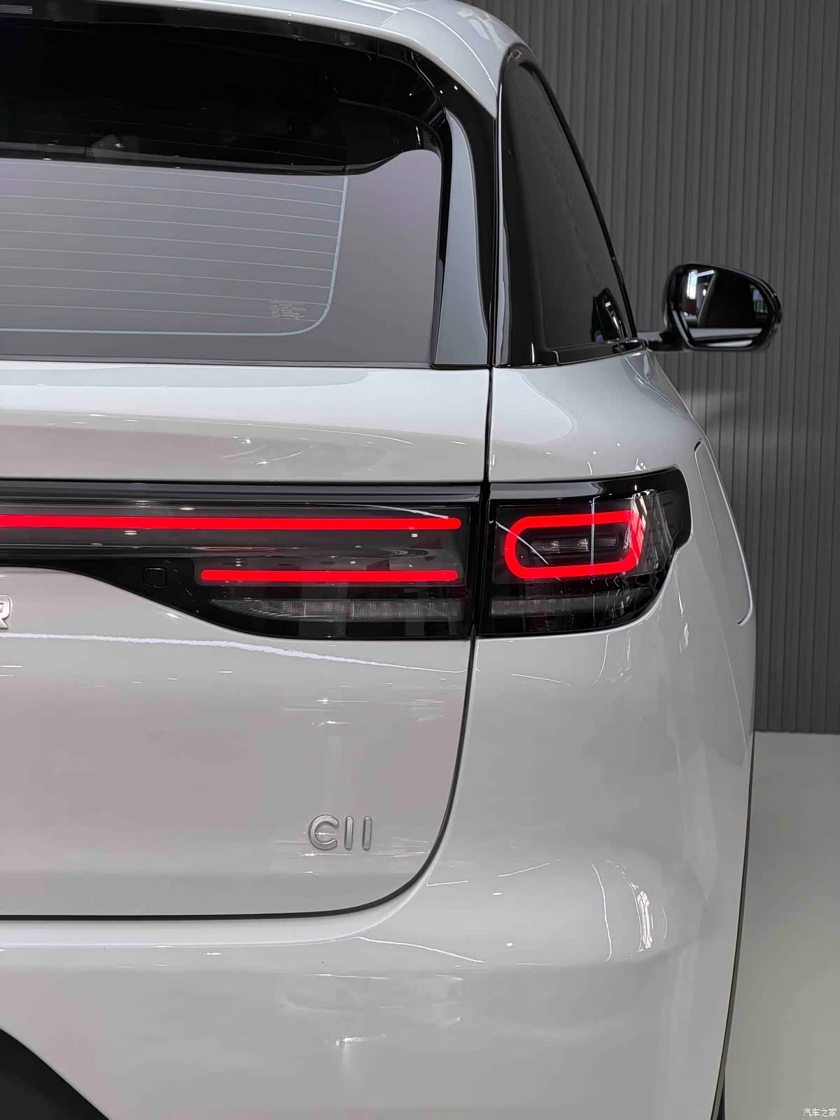 Leapmotor C11, 2023 15