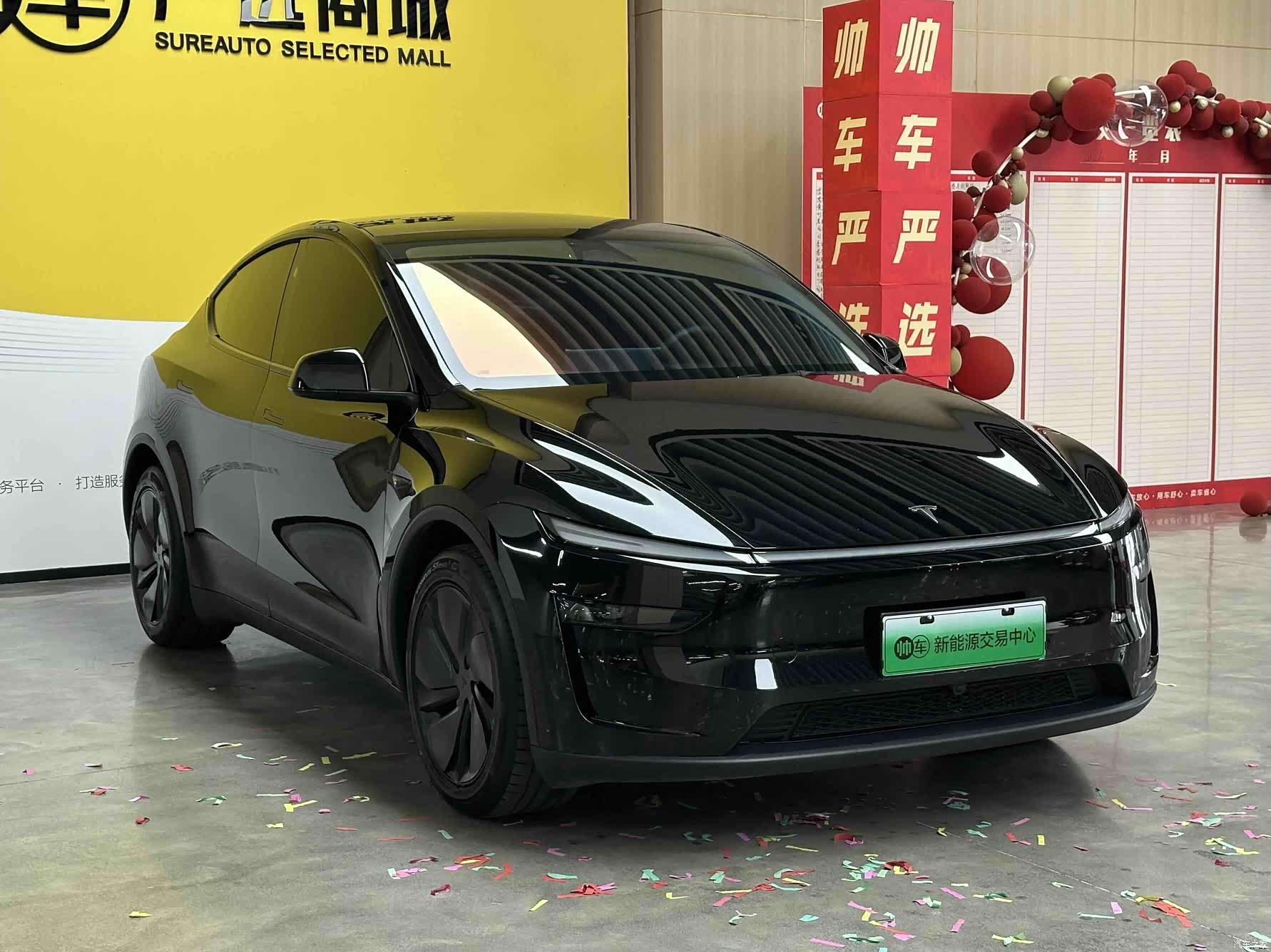 Tesla Model Y, 2025 3