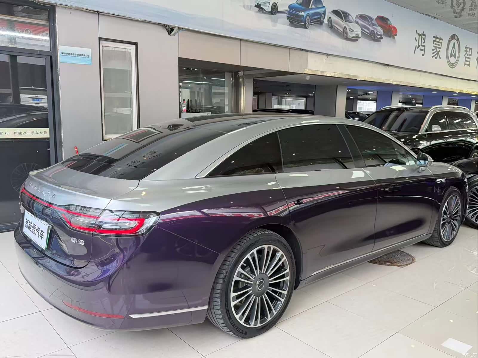 Stelato S9, 2024 12