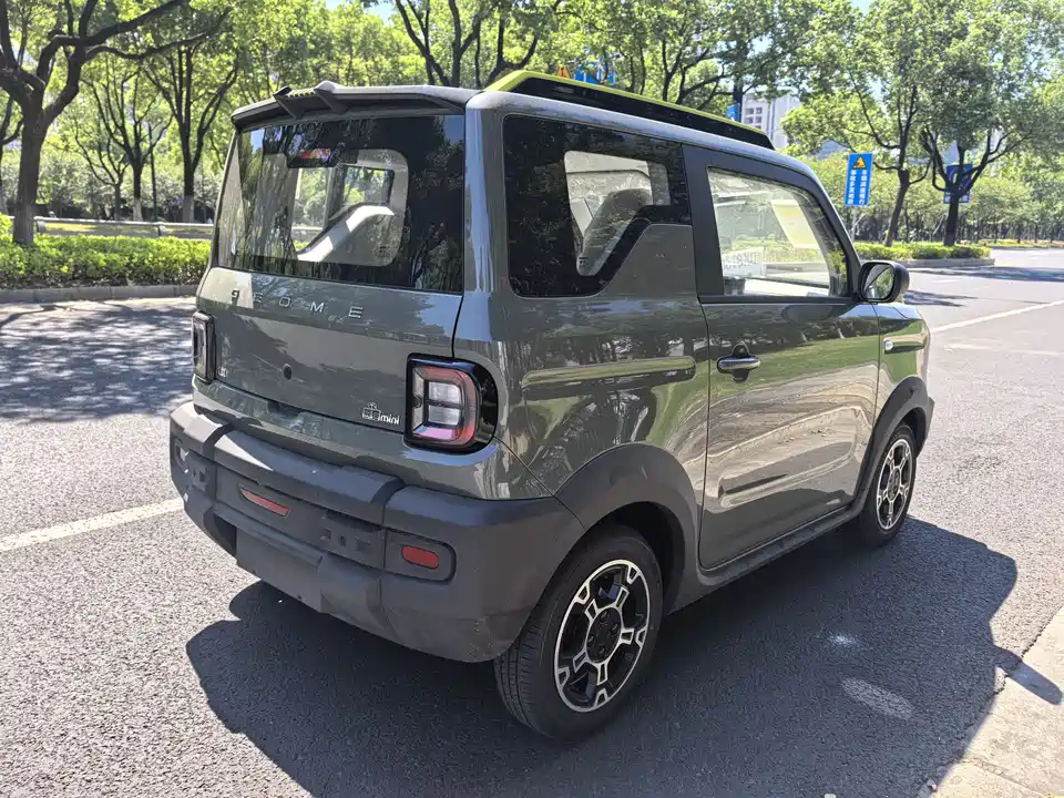 Geely Galaxy panda