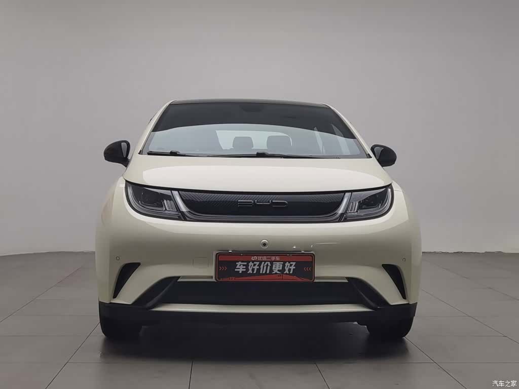 BYD Dolphin, 2024 3