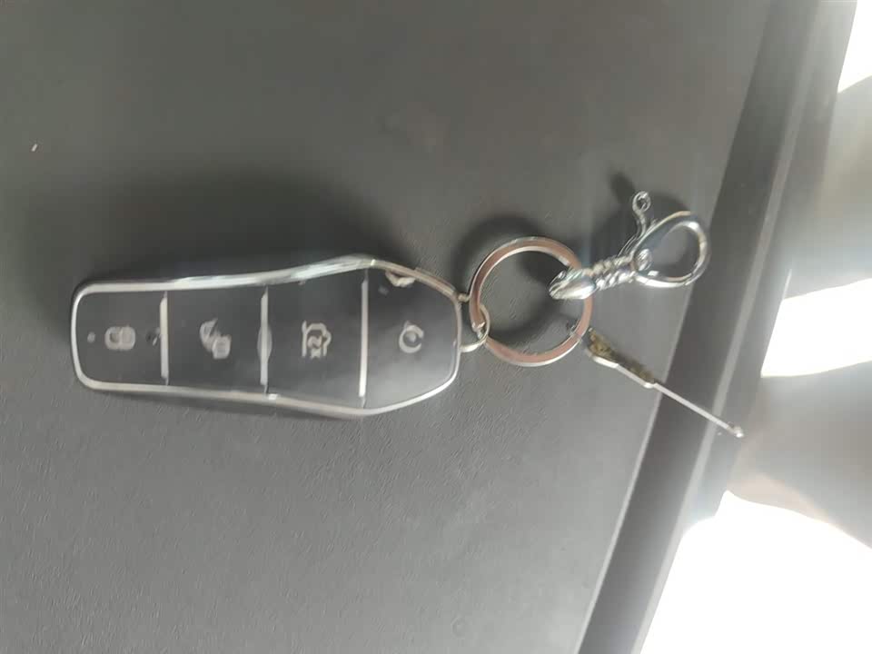 BYD Sea Lion 05 DM-i