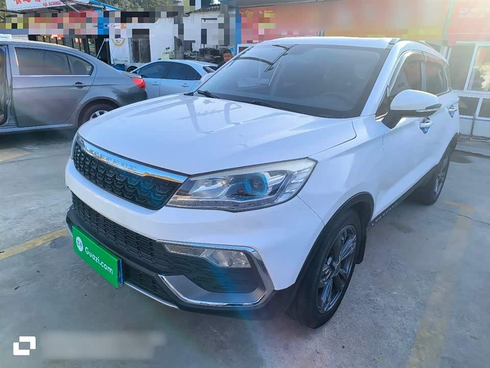 Leopaard Cheetah CS9