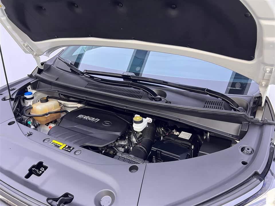 Trumpchi Trumpchi M8