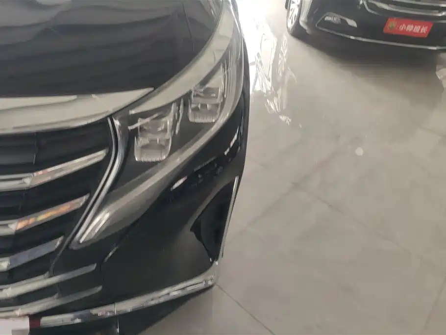 Trumpchi Trumpchi M8