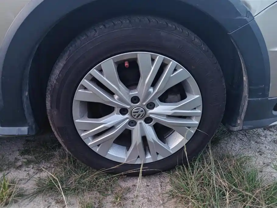 Volkswagen C-TREK Wei Collar