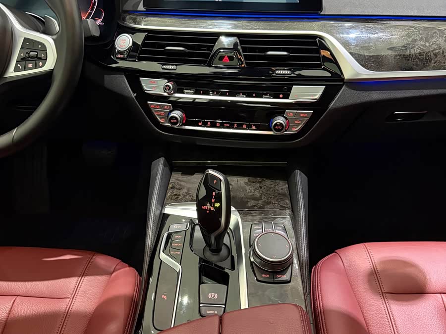 BMW 5 Series 2020, фото 15
