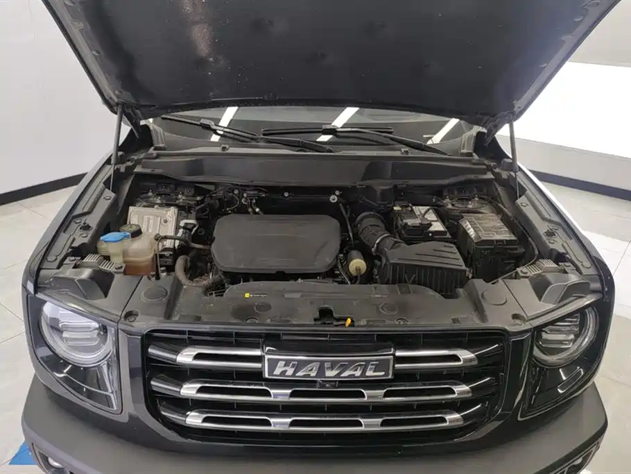 Haval Big dog