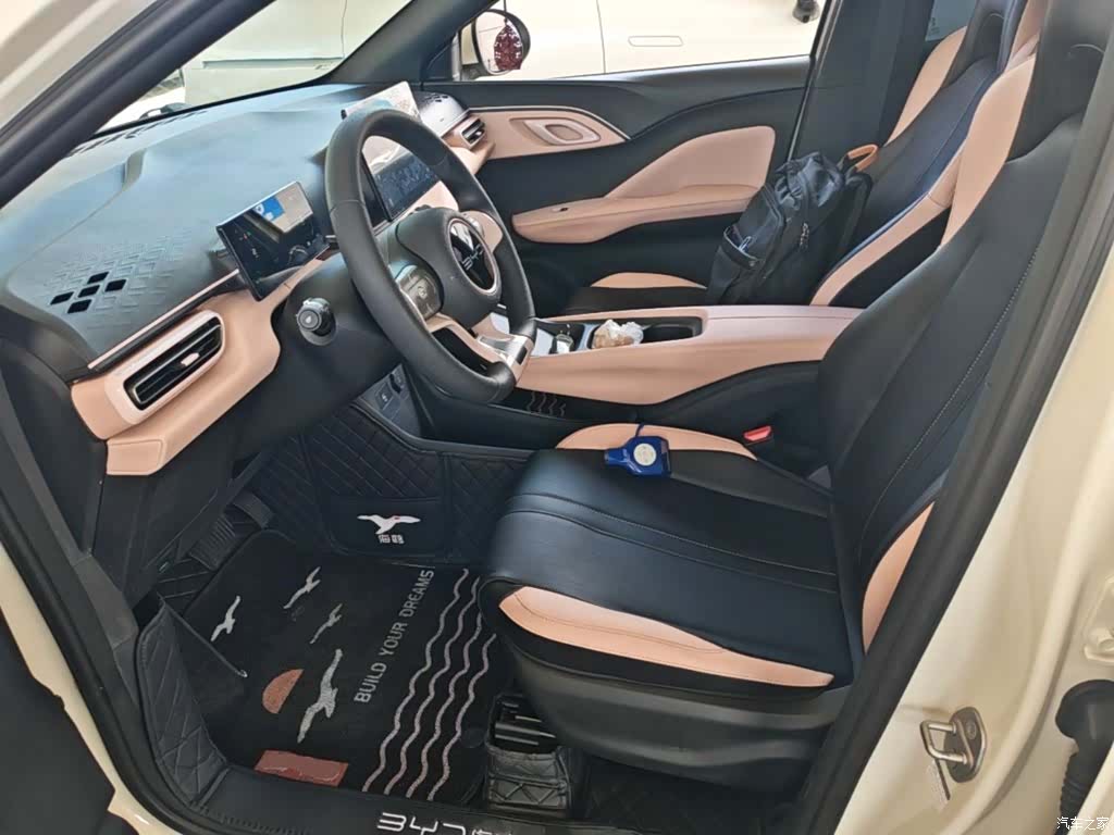 BYD Seagull, 2023 15
