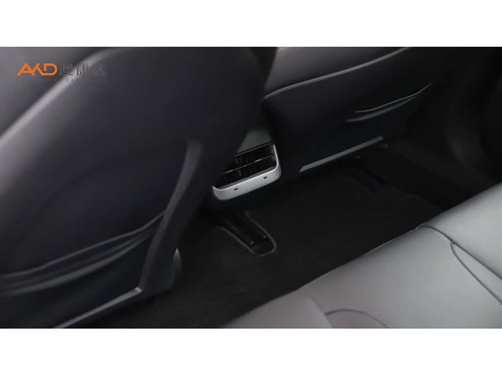 Tesla Model 3, 2021 9