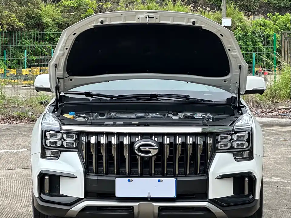 Trumpchi Trumpchi GS8