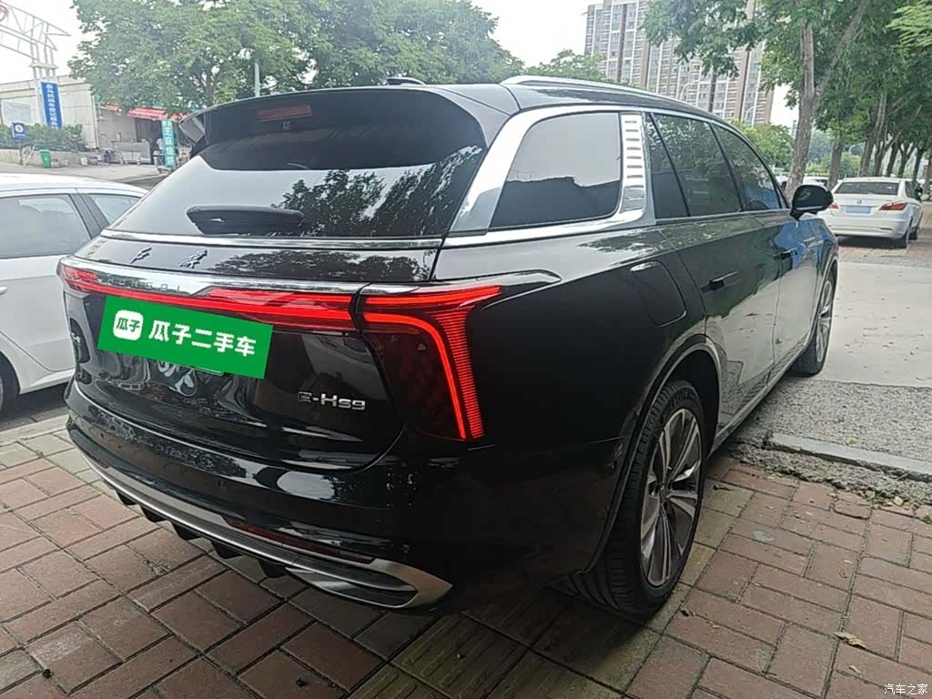 Hongqi E-HS9, 2023 7