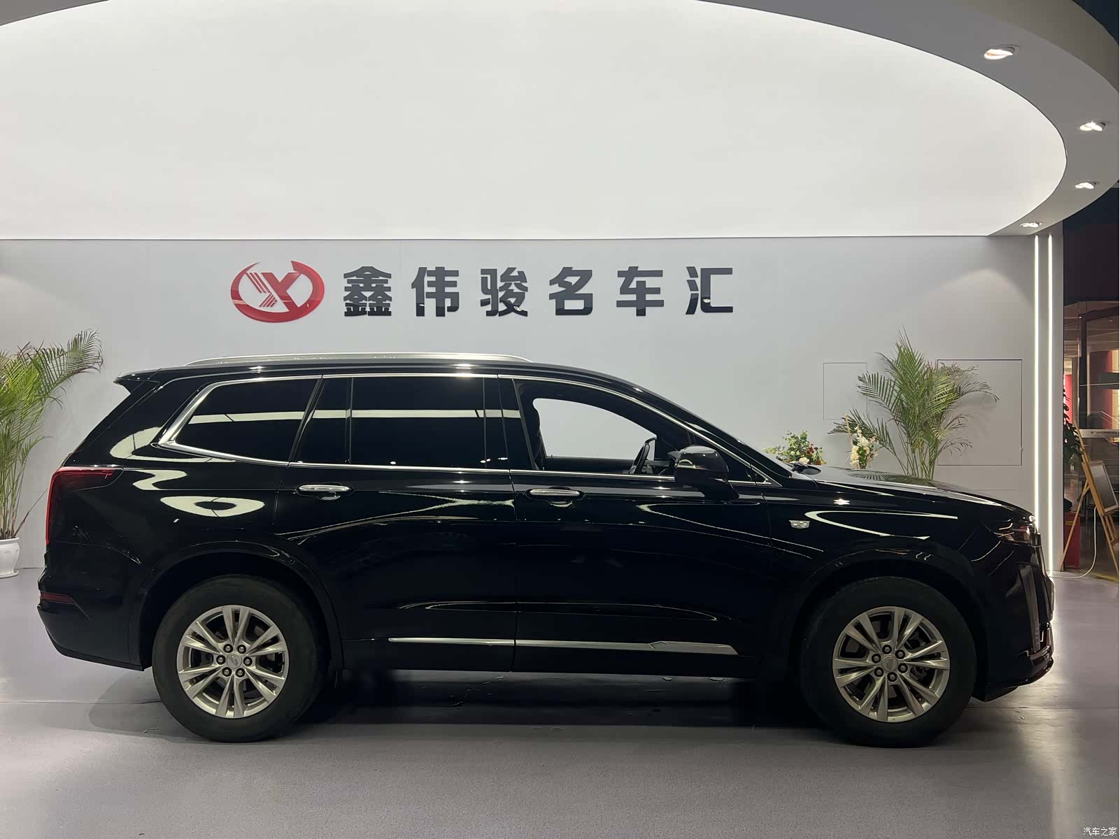 Cadillac XT6, 2022 все фото