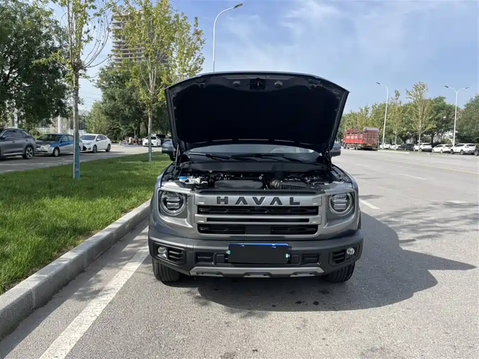 Haval Big dog