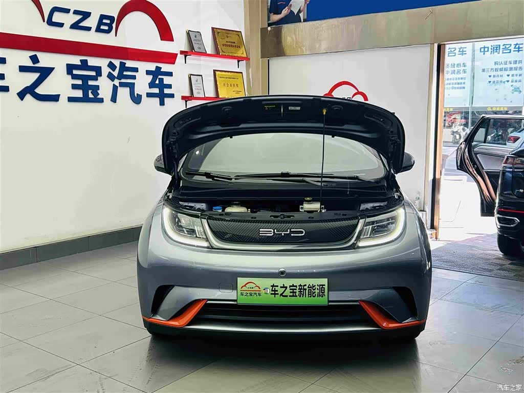 BYD Dolphin, 2022 24