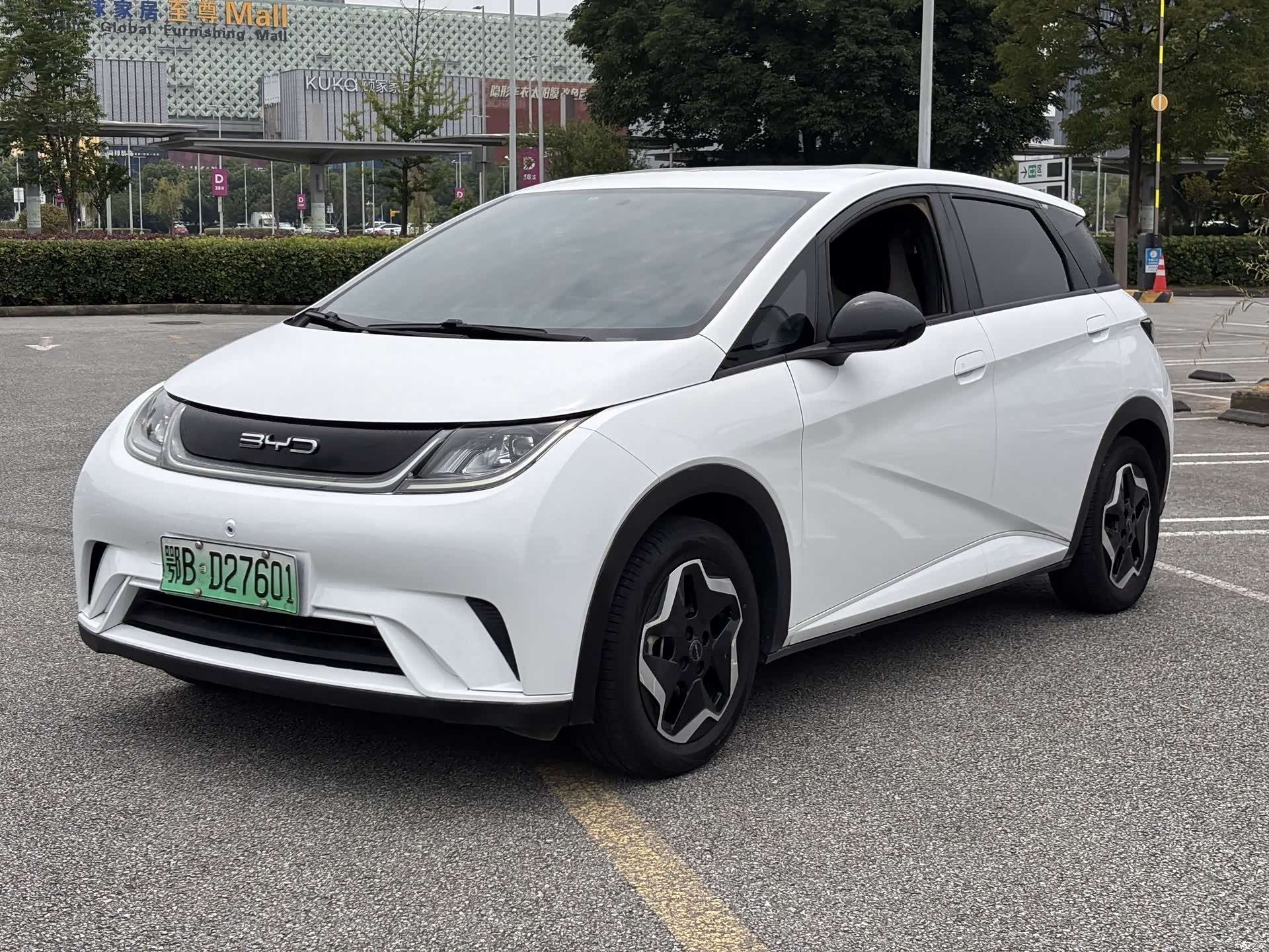 BYD Dolphin, 2021 1