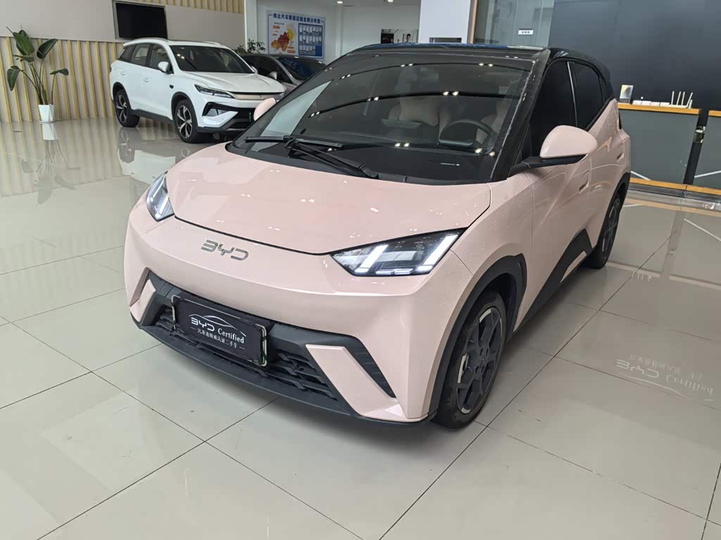 BYD Seagull