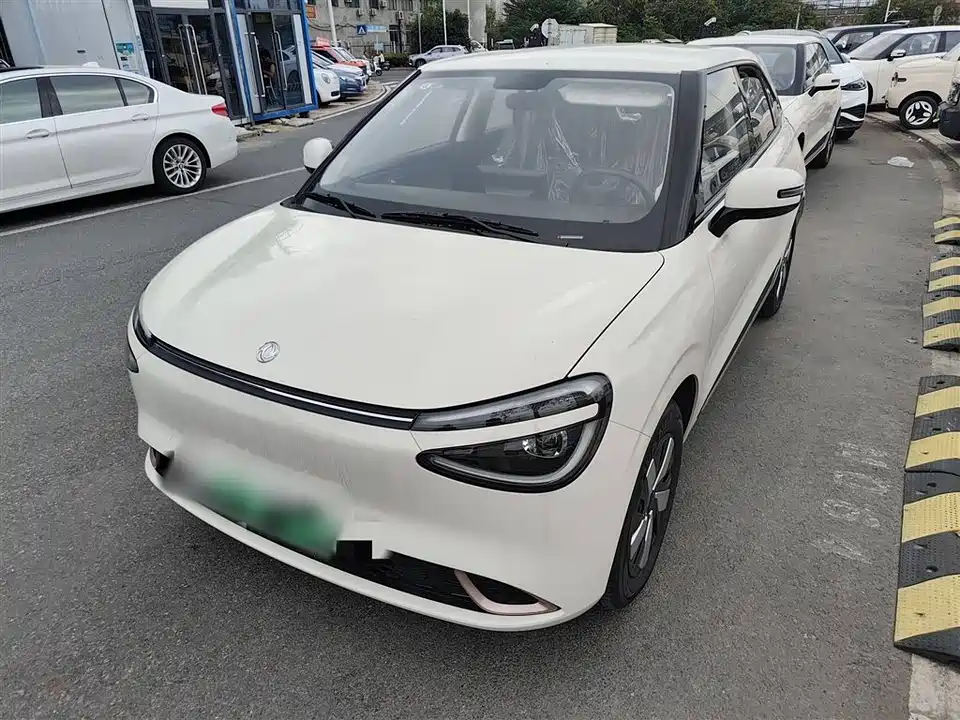 Dongfeng Nammi Nano 01