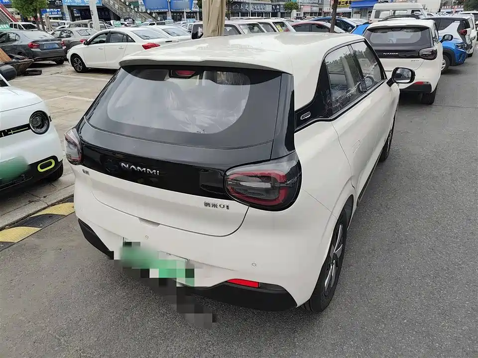 Dongfeng Nammi Nano 01