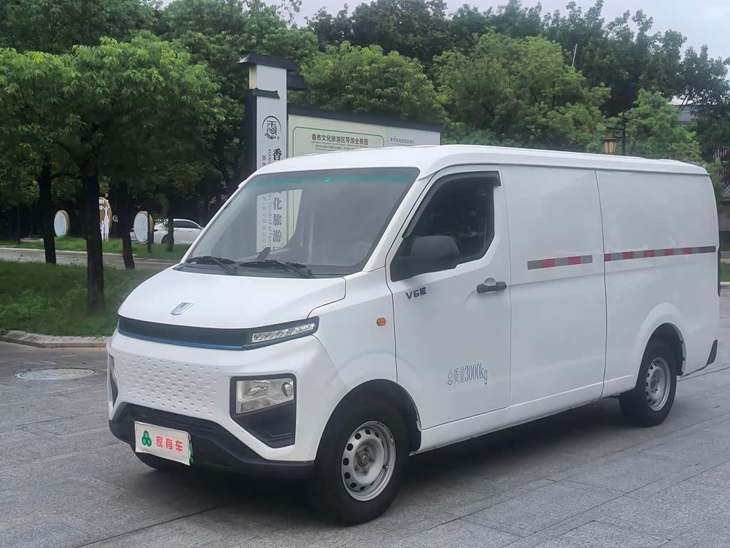 Farizon V