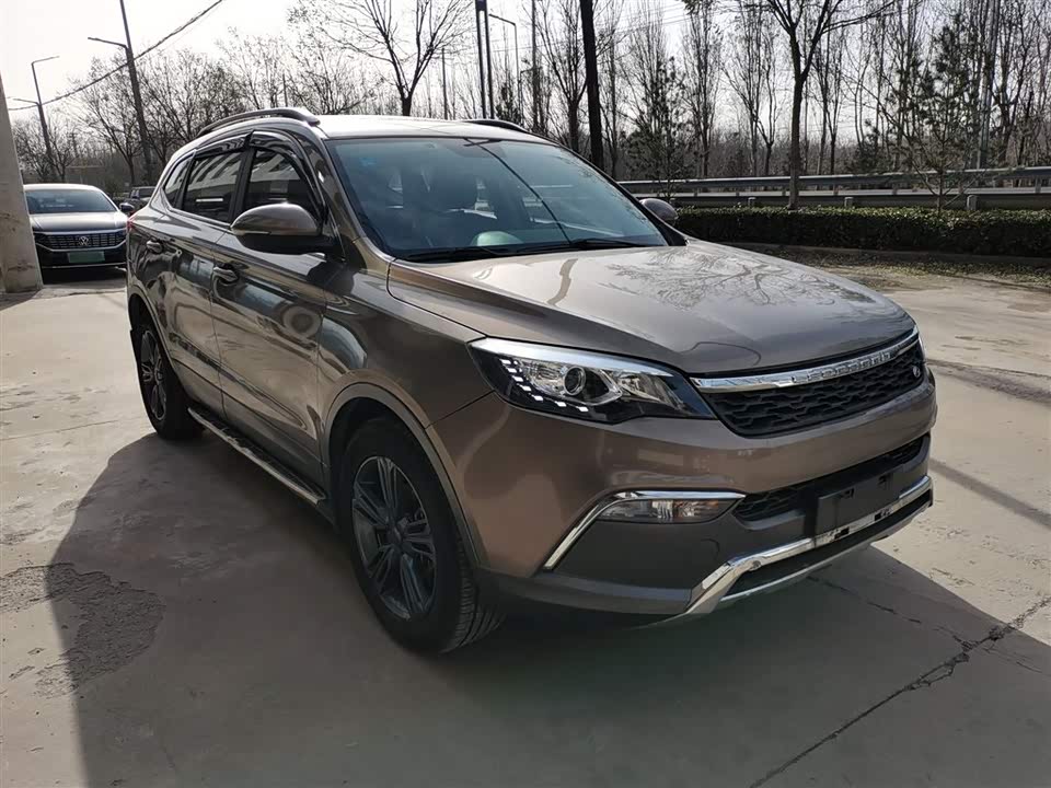 Leopaard Cheetah CS10